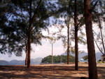 Dia de "segunda-feira", almoço no quintal... Bracuhy, abril de 2006