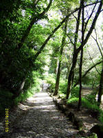 Parque do Palcio Pena, Sintra / Portugal