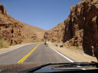 Lhamas e vicunhas, unicas habitantes do deserto dos andes