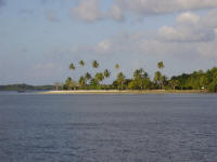 Ilha de Matarandiba, primavera de 2008
