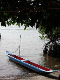 ilha do sapinho