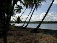 Passeio na ilha dos tatus