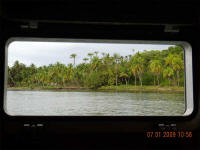 Quadro da ilha tubarão