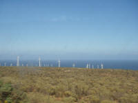 Plantao de elicos - imagine quanto venta por aqui!! Chile