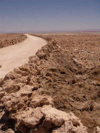 Tanto Sal Tanto sal -  Laguna Chaxa - atacama