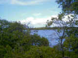 13-LAGOA--LA-TORTUGUILLA.jpg (27795 bytes)