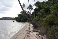 Ilha-dos-Tatus