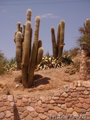 humahuaca (15)