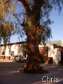 San Pedro de Atacama, Praça das Armas