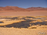 Salar dos Flamingos