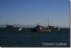 Barcos de pesca