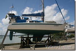 Pronto 1