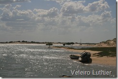Galinhos 3