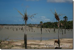 Lagoa