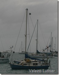 Menor veleiro na baia