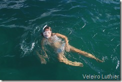 Mar verde