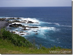 Flores 2