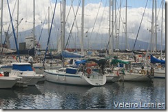 Luthier na Marina de Horta