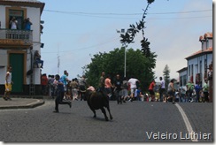 Tourada -1