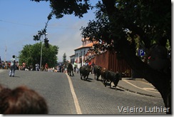 Tourada