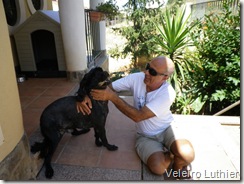 Cachorro de água