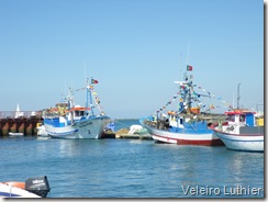Barcos preparados para procissão