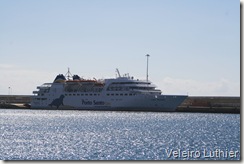 Lobo Marinho em Porto Santo