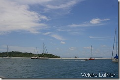 Coroa e mangue