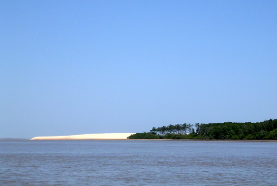 64Jeri6.jpg - Mangues e dunas  perder de vista no caminho para a Ilha do Caj