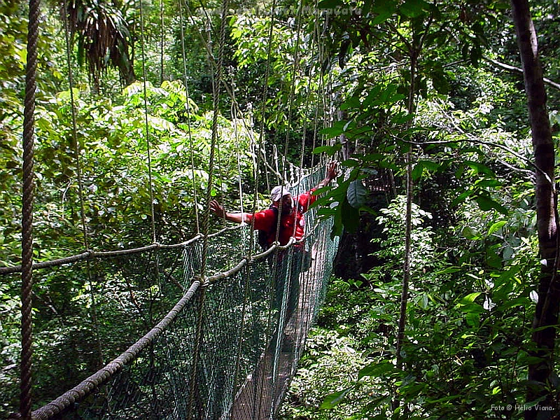 14IlheusUna.jpg - A passarela da Reserva do Una