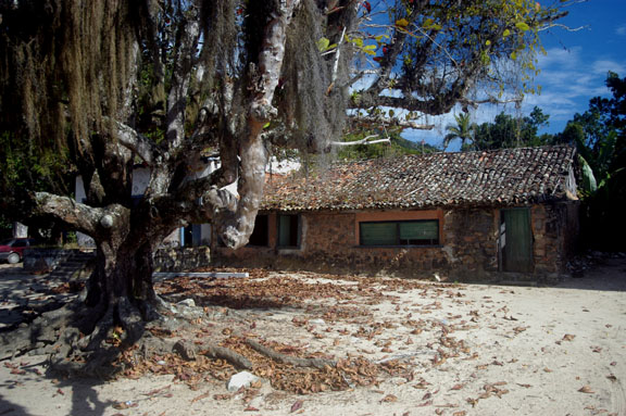 mirim3.jpg - O que restou da Fazenda Paraty-Mirim, antigo centro comercial de Paraty